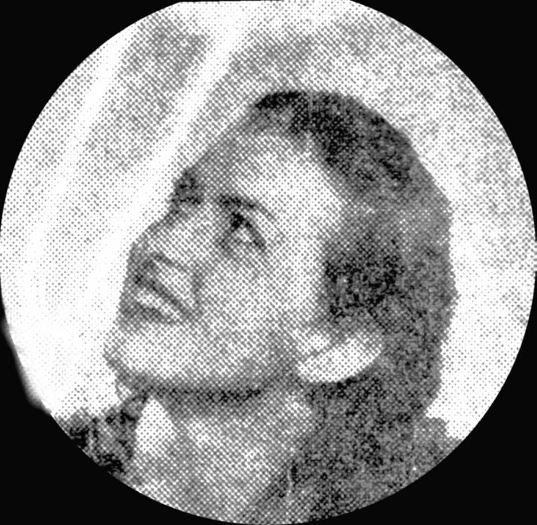 Dines Bogø